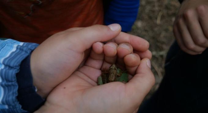 Vorsichtig wird im NAJU die Natur erkundet. Foto: LBV Augsburg