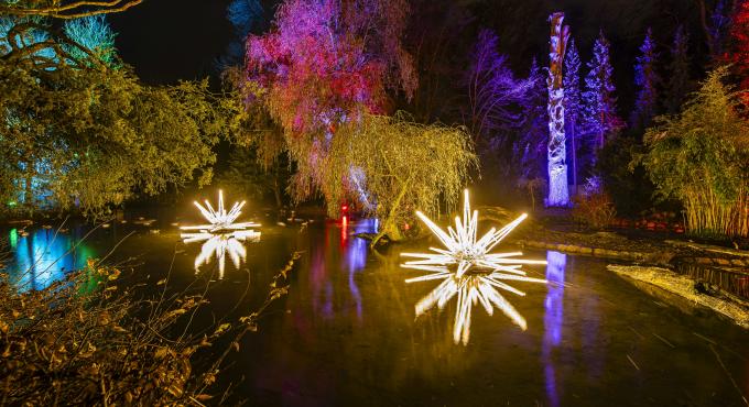 Der Christmas Garden Augsburg 2024, Foto: Rainer Keuenhof