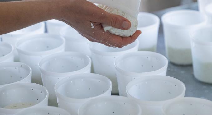 Bild aus der Produktion der Käserei Blumenthal