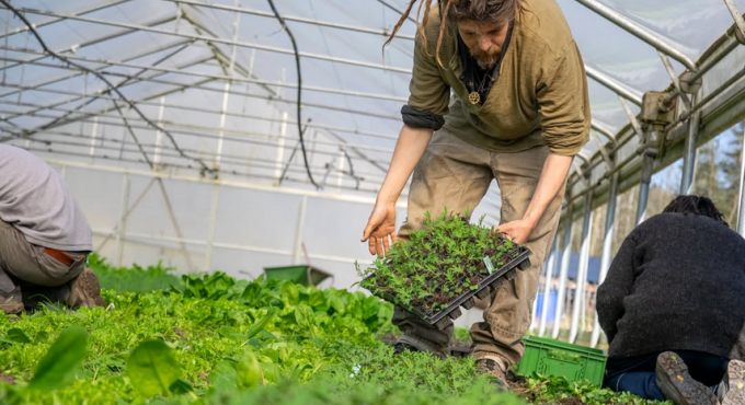 Solidarische Landwirtschaft (Solawi) Schloss Blumenthal