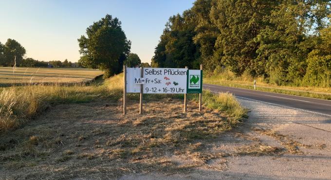 Selbstplückefeld von Christofs Biohof