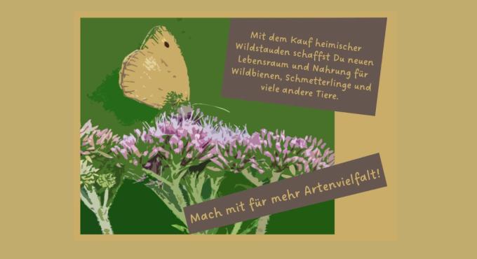 Flyer Wilder Stadtgarten