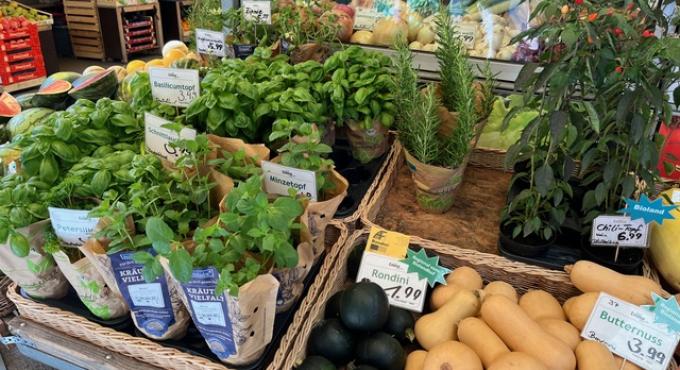 Kräuter und Gemüse bei BioEmma auf dem Augsburger Stadtmarkt. Foto: Christina GeyerFoto: Christina Geyer