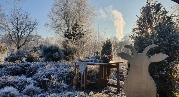 Foto zeigt den winterlich dekorierten Botanischen Garten Augsburg.