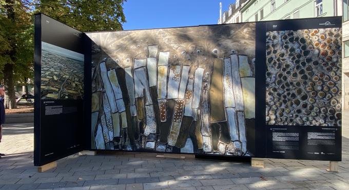 Ausstellung Terra Extract von Tom Hegen, Motiv: Salzgewinnung
