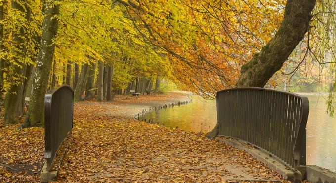 Stadtwald Augsburg, Freizeit, Radfahren, Foto: Norbert Liesz