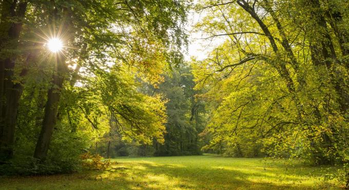 Stadtwald Augsburg, Freizeit, Radfahren, spazieren gehen,  Erholung, Augsburg, Naherholung, Stadtwald, Naturschutz, Grüne Oase, Augsburger Stadtwald, Foto: Norbert Liesz