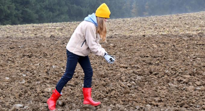 Dinkel, sähen, BioBäckerei Schubert, Biohof Hammerl, Augsburg, Foto: Cynthia Matuszewski