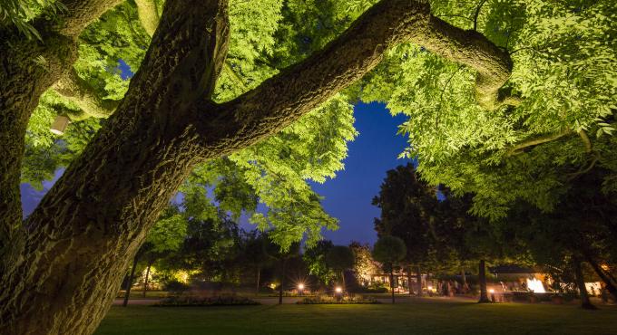 Augsburg, Botanischer Garten bei Nacht, Foto: Norbert Liesz