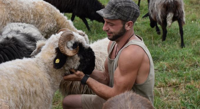 Benjamin Vogt mit Schafen der CityFarm Augsburg, Foto: Cynthia Matuszewski