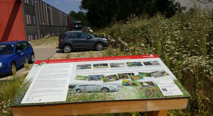 deka messebau, Augsburg, Biodiversität,  Insekten.Vielfalt.Augsburg, Foto: deka messebau