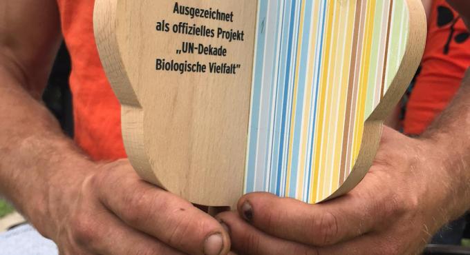 CityFarm Augsburg, Urban Gardening, Foto: Sabine Rottmann