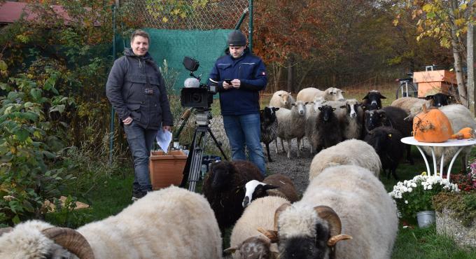 Dreharbeiten, CityFarm Augsburg, Augsburg, nachhaltiger Warenkorb. RENN süd, Foto: Cynthia Matuszewski