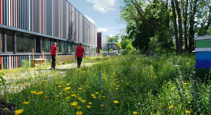 deka messebau, Augsburg, Biodiversität,  Insekten.Vielfalt.Augsburg, Foto: deka messebau