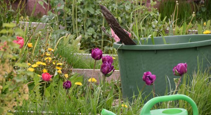 Grow up, Urban Gardening, Interkulturelle Gärten, Augsburg, Foto: Cynthia Matuszewski