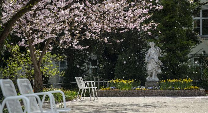 Hofgarten, Augsburg, kostenloser Ort, Barock, Rokkoko, Bücherschrank, Oase in der Stadt, Erholung, Ruhe, Grün in der Stadt, Foto: Norbert Liesz
