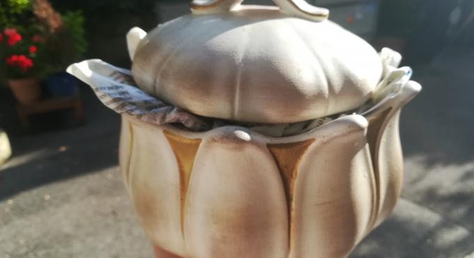 Biomüll, Biomüll richtig entsorgen,