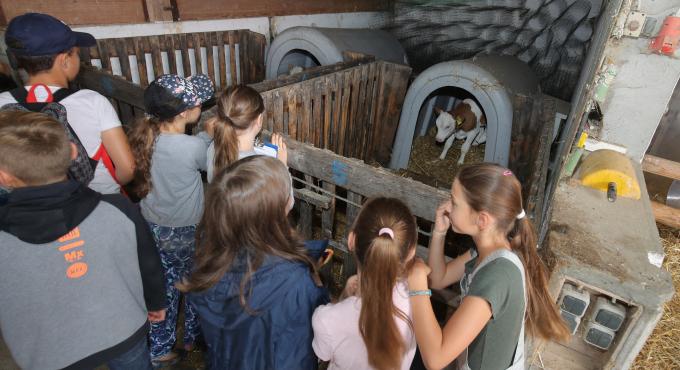Klassenfahrt zum Bio-Bauernhof, Biostadt Augsburg, Ernährung, Lebensmittel, Bildung, Geswundheit, Foto: Michael Hochgemuth, Stadt Augsburg