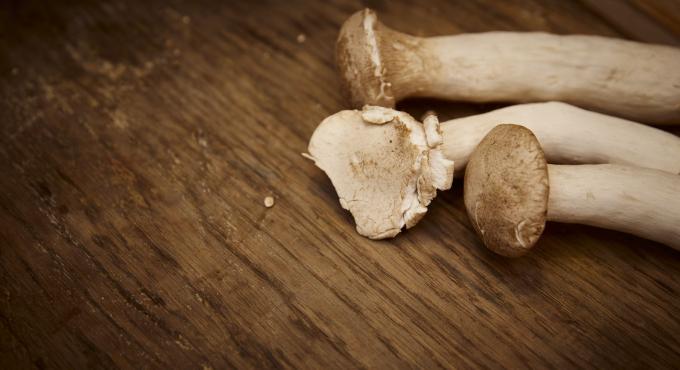 Braune Champignons: Das Lifeguide-Team kocht für das Kochbuch "Augsburg kocht". Foto: Eda Zeh