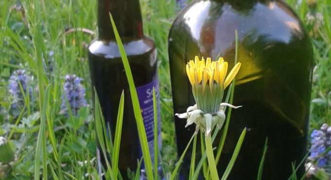 NANU! e.V.: Umweltbildung in Augsburg. Foto: NANU!