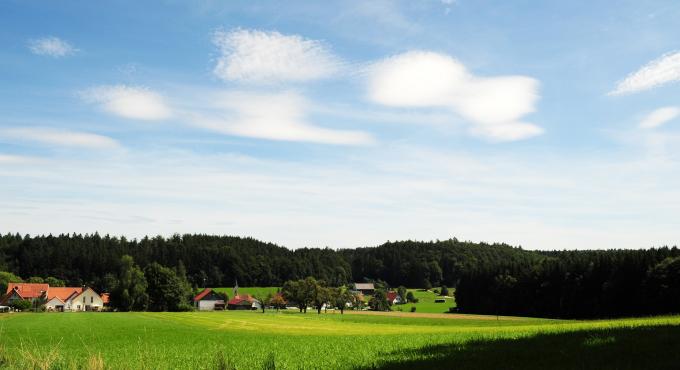 Naturpark Westliche Wälder, Augsburg, Foto Cynthia Matuszewski