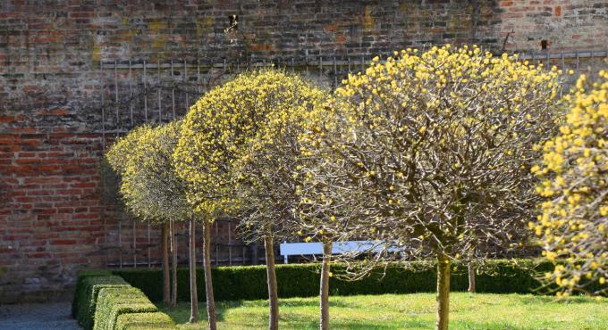 Schaezler-Palais, Augsburg, Rokoko-Garten, Grüne Oase, Ruheplatz, Innenhof, Patrizierhäuser Augsburg, Rokoko, Foto: Cynthia Matuszewski