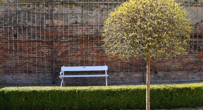 Schaezler-Palais, Augsburg, Rokoko-Garten, Grüne Oase, Ruheplatz, Innenhof, Patrizierhäuser Augsburg, Rokoko, Foto: Cynthia Matuszewski