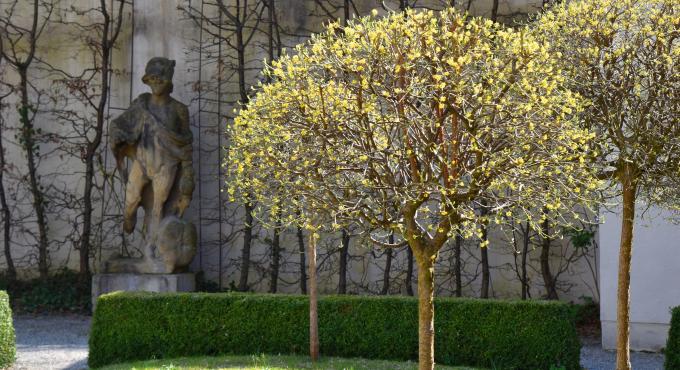 Schaezler-Palais, Augsburg, Rokoko-Garten, Grüne Oase, Ruheplatz, Innenhof, Patrizierhäuser Augsburg, Rokoko, Foto: Cynthia Matuszewski