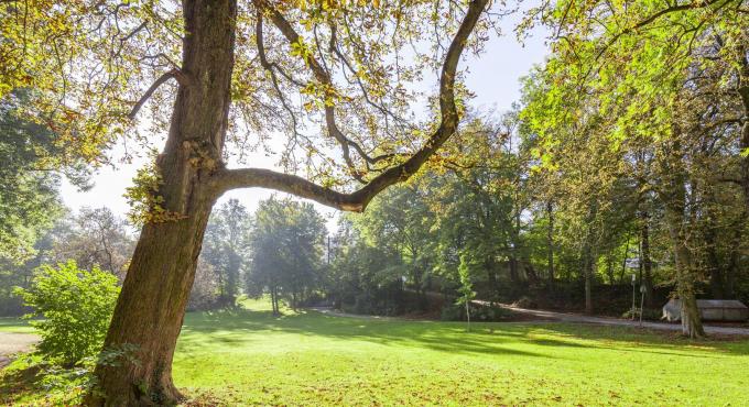 Roter Torwall, Augsburg, kostenloser Ort, Augsburg, Oase in der Stadt, Erholung, Ruhe, Grün in der Stadt, Kanal, Wasser, Kräutergarten, Foto: Norbert Liesz