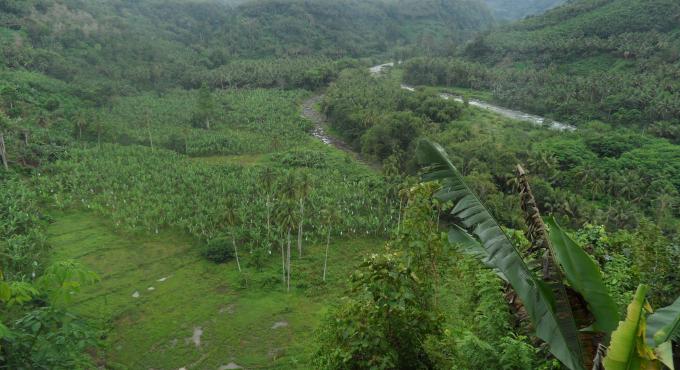 Plantagenanbau (Bananen) am Mount Apo, dem höchsten Berg der Philippinen. Foto: Eva Bahner//Oikocredit