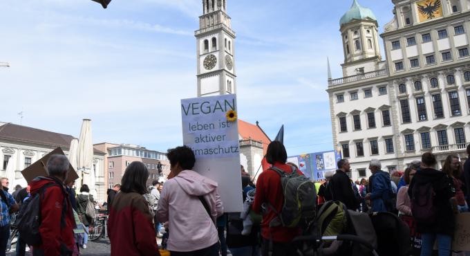 Fridays for Future 2019, Foto: Cynthia Matuszewski