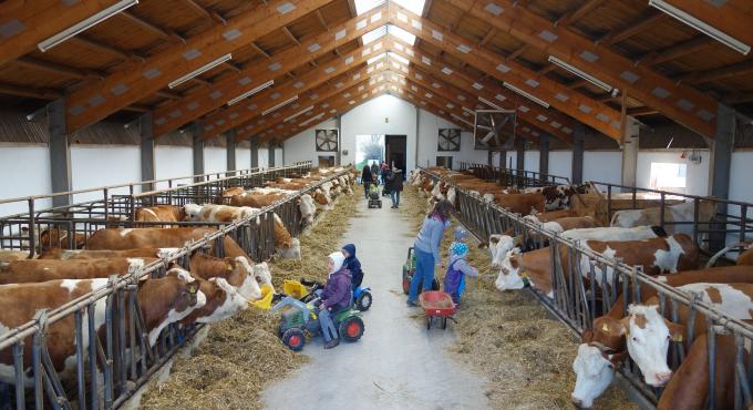 Beim Hibsch, Bauernhof, Mitmachbauernhof. Foto: Lucia Bradl