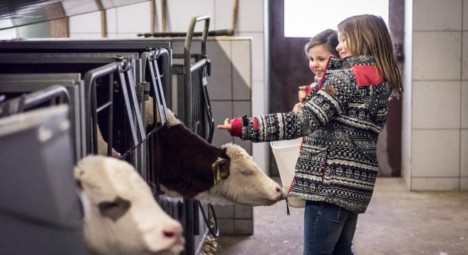 Beim Hibsch, Bauernhof, Mitmachbauernhof. Foto: Lucia Bradl