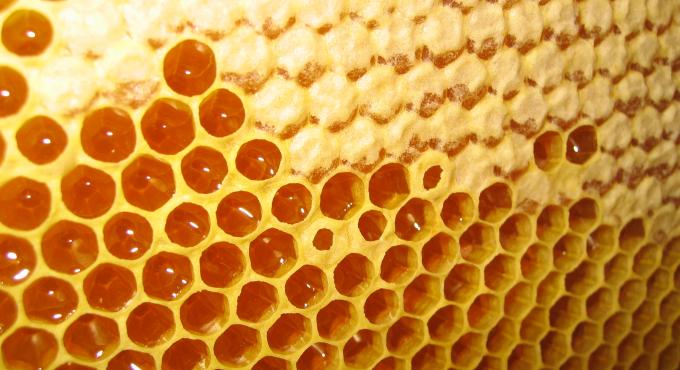Honigwaben. Foto: Honigsammler