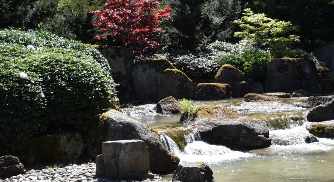 Der Japanische Garten im Botanischen Garten Augsburg / Foto: Cynthia Matuszewski