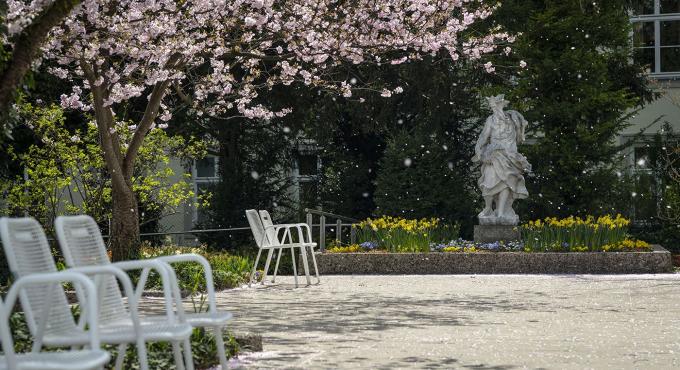 Hofgarten, Augsburg, kostenloser Ort, Barock, Rokkoko, Bücherschrank, Oase in der Stadt, Erholung, Ruhe, Grün in der Stadt, Foto: Norbert Liesz