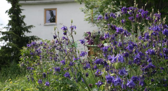 Permakulturhof Eselgarten, Foto: Decker, Reichertshofen, Stauden, Augsburg, Westliche Wälder