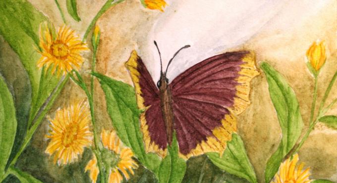 Permakulturhof Eselgarten, Foto: Decker, Reichertshofen, Stauden, Augsburg, Westliche Wälder, Esel, Garten, Hühner, naturnahe Gärten, Kunst, Naturbilder