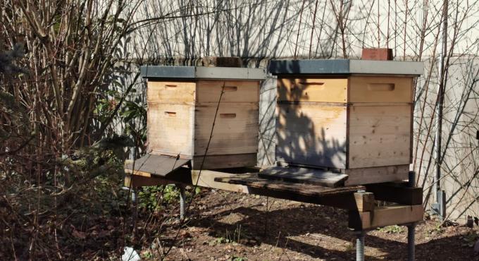 Bienenstöcke, Protestantischer Friedhof Augsburg,  Foto: Daniel Kettemer