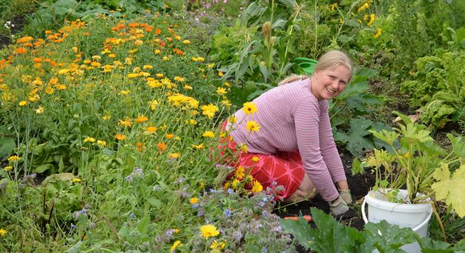 Gemüse selbst anbauen, Eigene Ernte, Sonnenacker, AUGSBURG LAND, Foto Cynthia Matuszewski, Gemüse, Augsburg