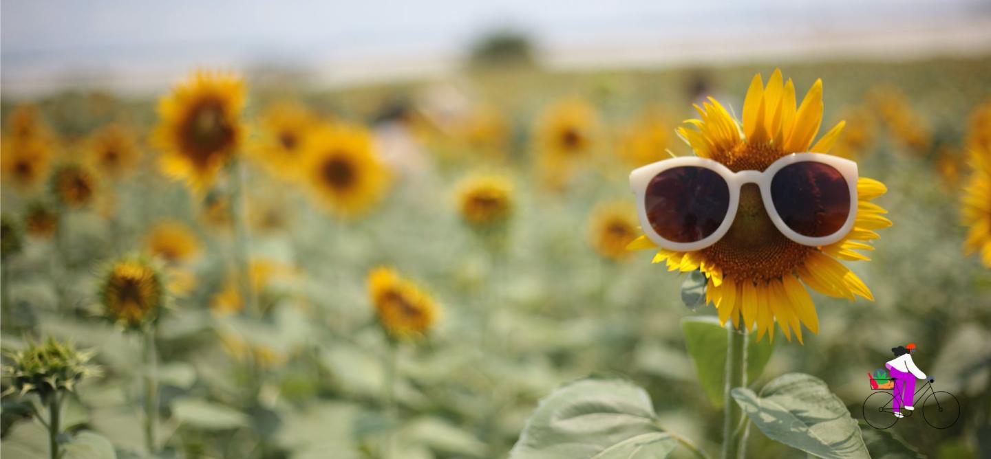 Sonneblume mit Sonnenbrille